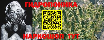 кристаллы Шахты