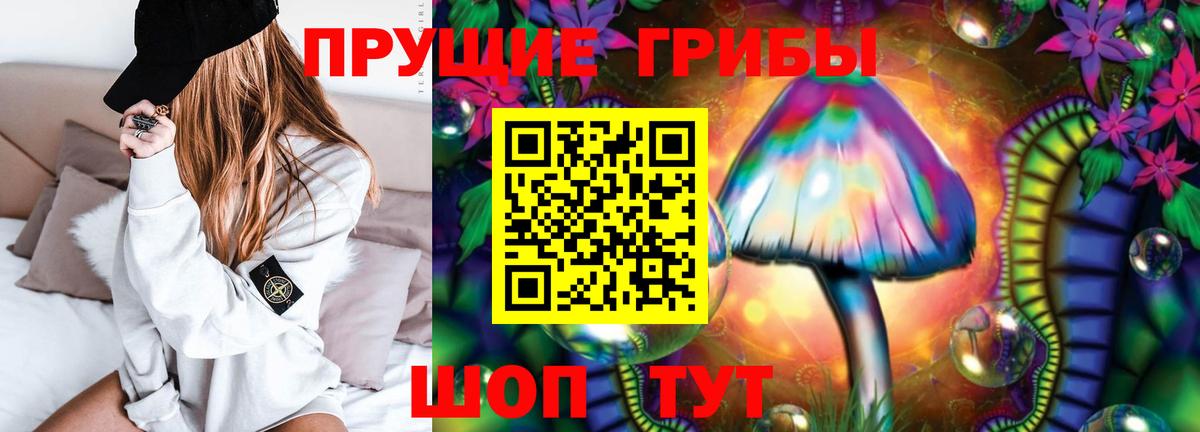 Галлюциногенные грибы GOLDEN TEACHER  Галлюциногенные грибы Psilocybine cubensis  наркотики  Вход с VPN  Джанкой 